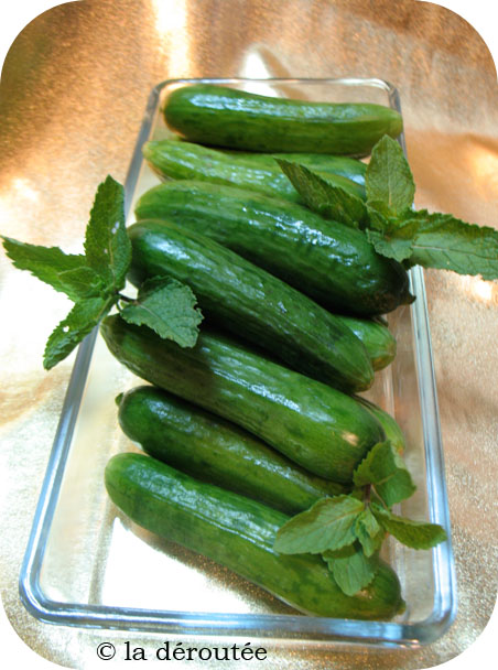 mini-concombressavoura