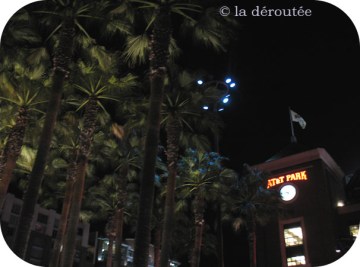 palmiersatt palmiersatt