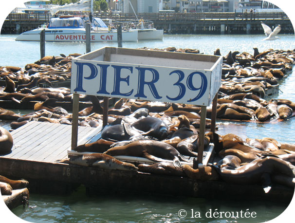 pier39