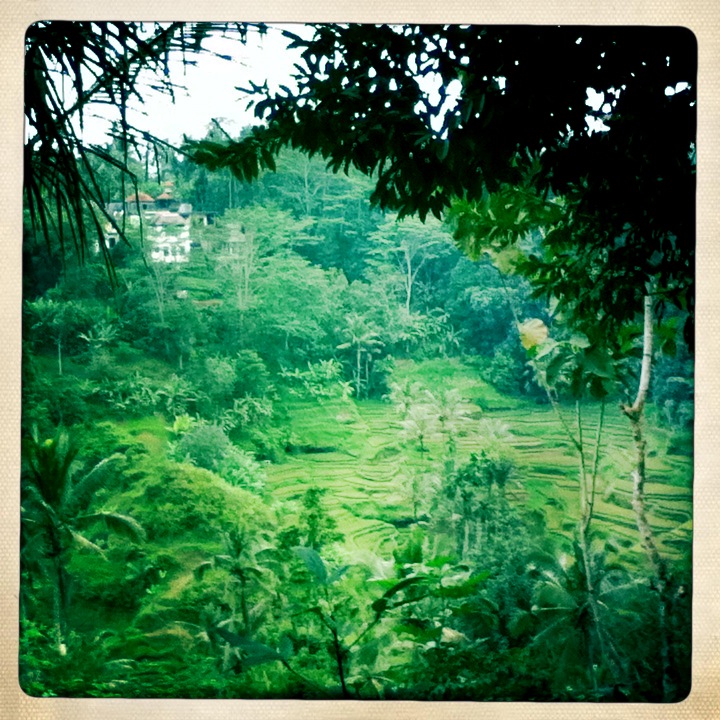Carte postale d&rsquo;Ubud!
